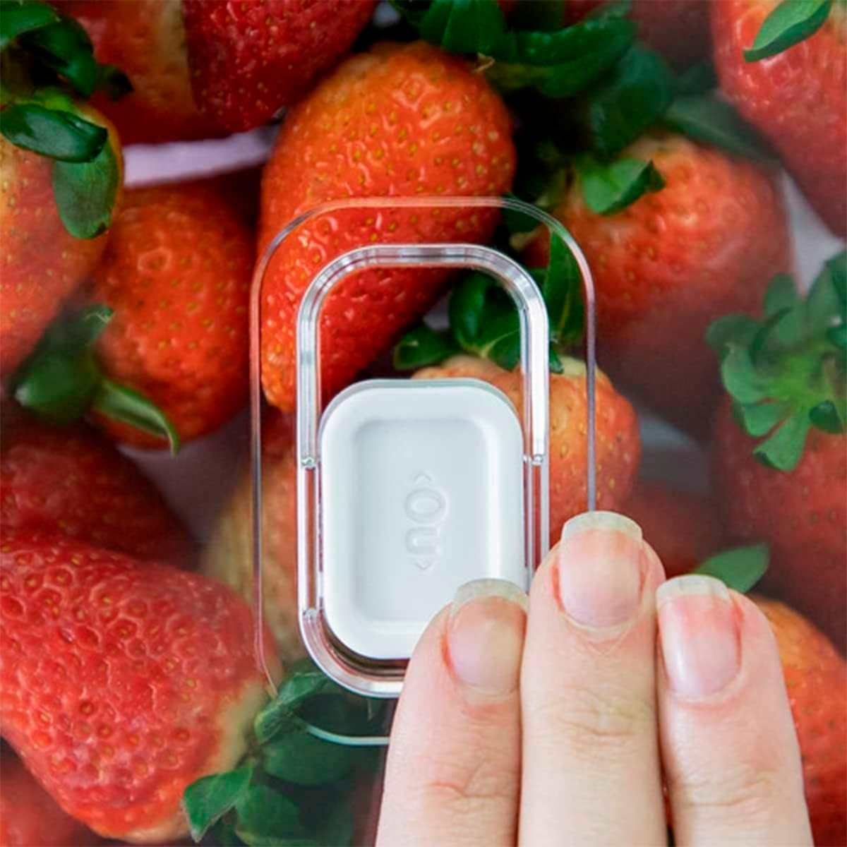 Kit de 4 Organizadores de Geladeira y Armario de Cocina de 2,2 Litros para Alimentos y Vegetales